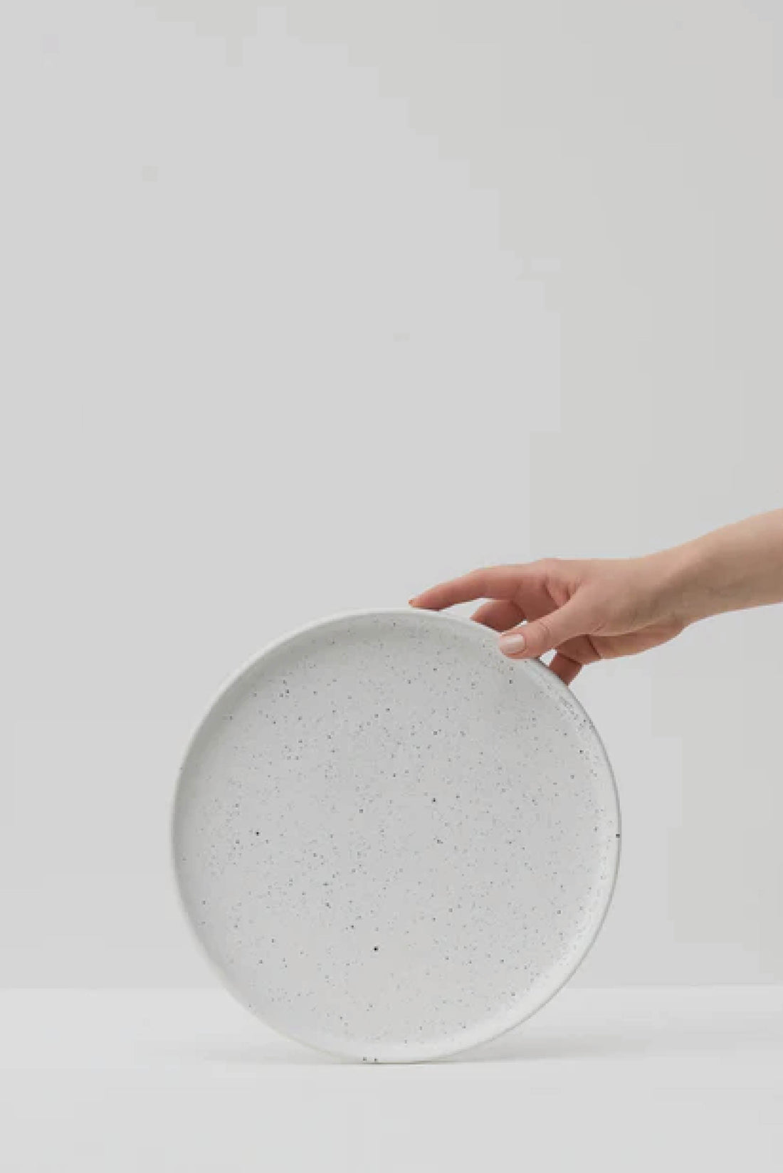 SALT LARGE PLATE